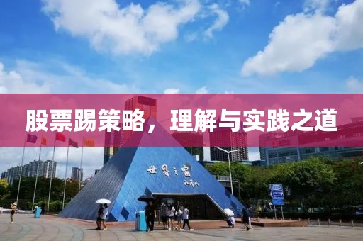 股票踢策略，理解与实践之道