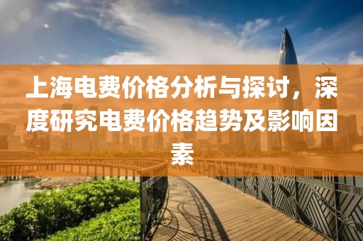 上海电费价格分析与探讨，深度研究电费价格趋势及影响因素