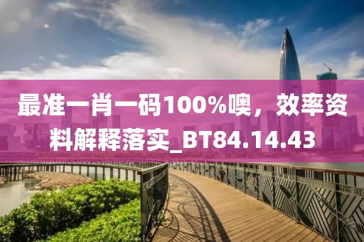 最准一肖一码100%噢，效率资料解释落实_BT84.14.43
