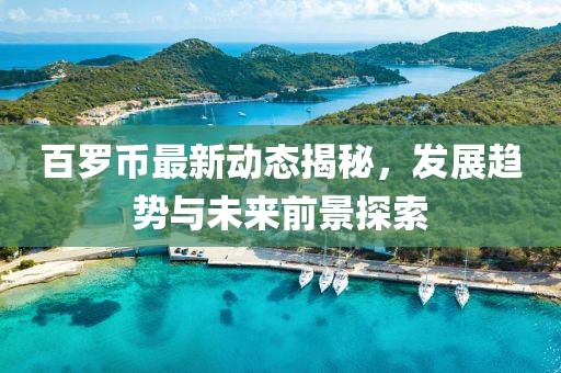 百罗币最新动态揭秘，发展趋势与未来前景探索