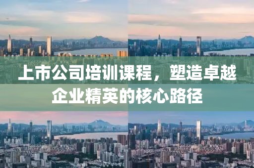 上市公司培训课程，塑造卓越企业精英的核心路径