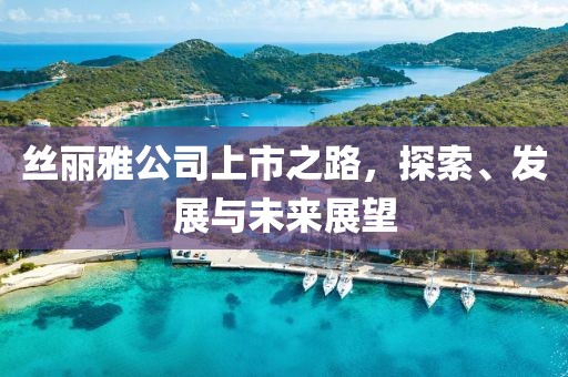 丝丽雅公司上市之路，探索、发展与未来展望