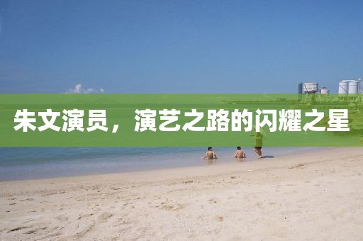 朱文演员，演艺之路的闪耀之星