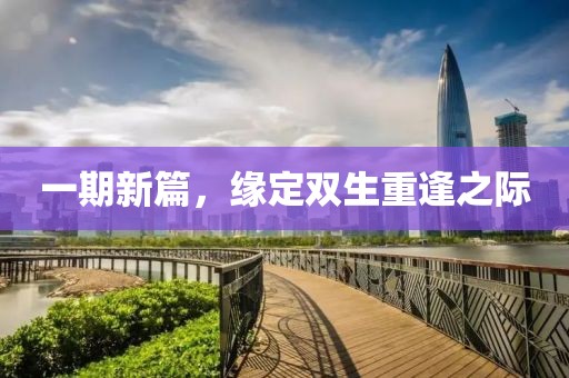 一期新篇，缘定双生重逢之际