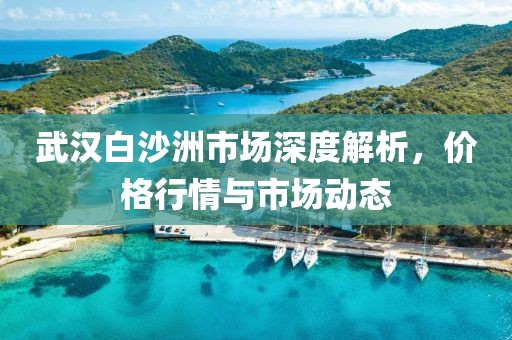 武汉白沙洲市场深度解析，价格行情与市场动态