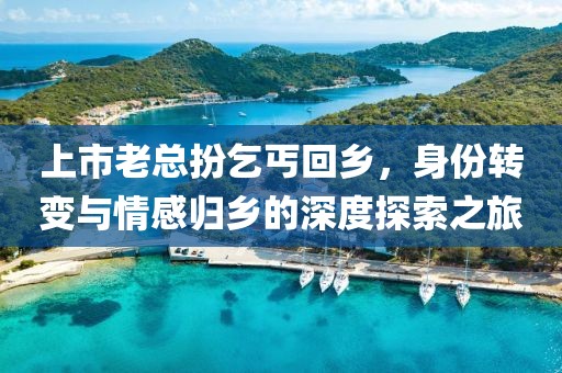 上市老总扮乞丐回乡，身份转变与情感归乡的深度探索之旅