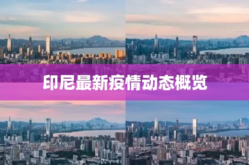 印尼最新疫情动态概览
