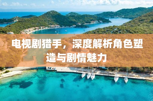 电视剧猎手，深度解析角色塑造与剧情魅力