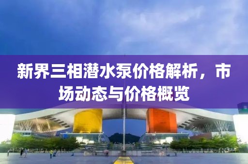 新界三相潜水泵价格解析，市场动态与价格概览