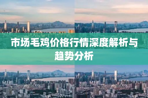 市场毛鸡价格行情深度解析与趋势分析