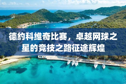 德约科维奇比赛，卓越网球之星的竞技之路征途辉煌