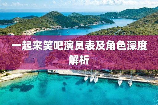一起来笑吧演员表及角色深度解析