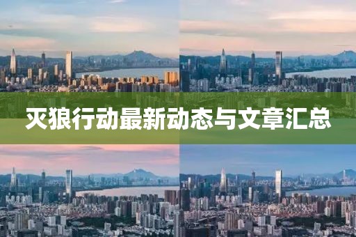 灭狼行动最新