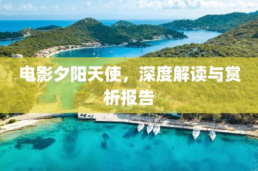 电影夕阳天使，深度解读与赏析报告