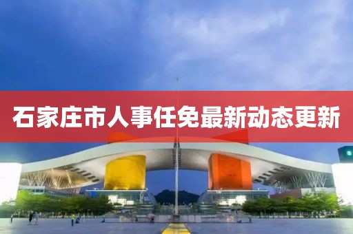 石家庄市人事任免最新动态更新