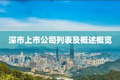 深市上市公司列表及概述概览