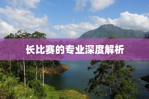 长比赛的专业深度解析