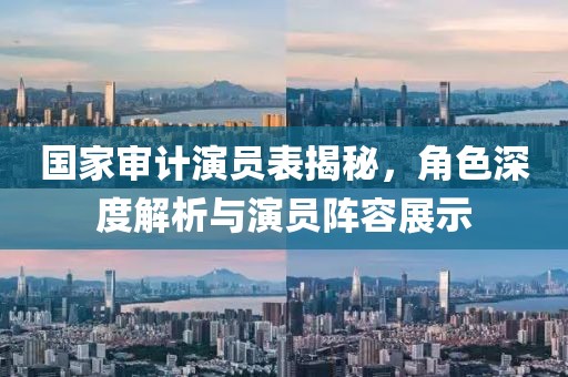 国家审计演员表揭秘，角色深度解析与演员阵容展示