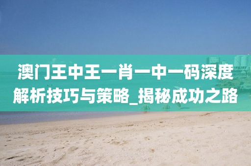 澳门王中王一肖一中一码深度解析技巧与策略_揭秘成功之路