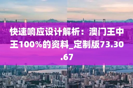 快速响应设计解析：澳门王中王100%的资料_定制版73.30.67