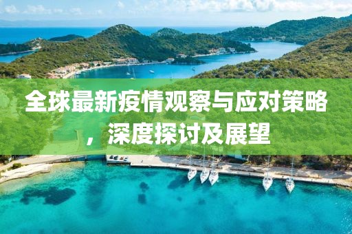 全球最新疫情观察与应对策略，深度探讨及展望