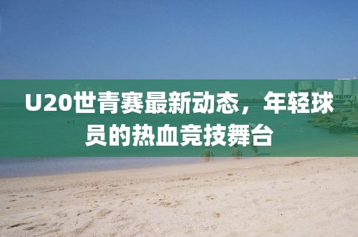 U20世青赛最新动态，年轻球员的热血竞技舞台