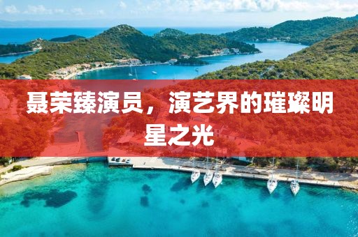 聂荣臻演员，演艺界的璀璨明星之光