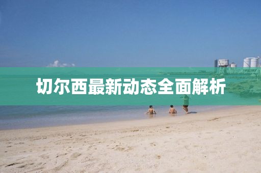 切尔西最新动态全面解析