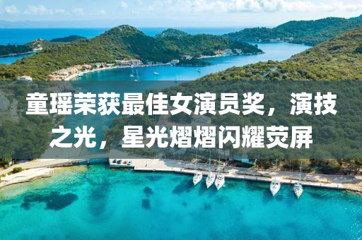 童瑶荣获最佳女演员奖，演技之光，星光熠熠闪耀荧屏