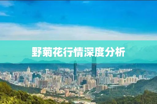 野菊花行情深度分析