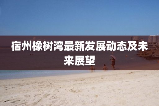宿州橡树湾最新发展动态及未来展望