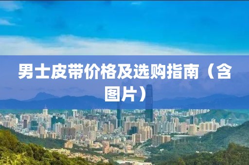 男士皮带价格及选购指南（含图片）