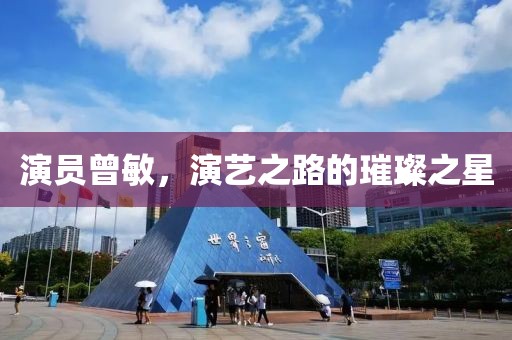 演员曾敏，演艺之路的璀璨之星