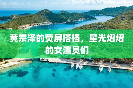 黄宗泽的荧屏搭档，星光熠熠的女演员们