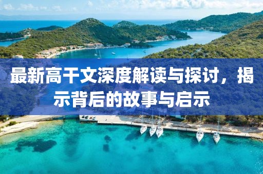 最新高干文深度解读与探讨，揭示背后的故事与启示
