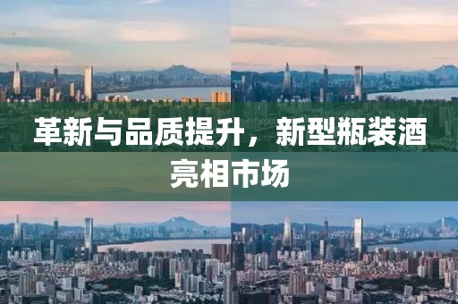 革新与品质提升，新型瓶装酒亮相市场