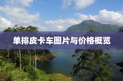 单排皮卡车图片与价格概览