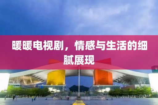 暖暖电视剧，情感与生活的细腻展现