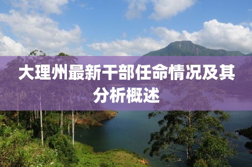 大理州最新干部任命情况及其分析概述