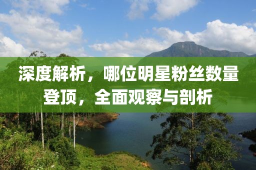 深度解析，哪位明星粉丝数量登顶，全面观察与剖析
