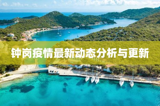 钟岗疫情最新