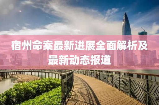 宿州命案最新进展全面解析及最新动态报道