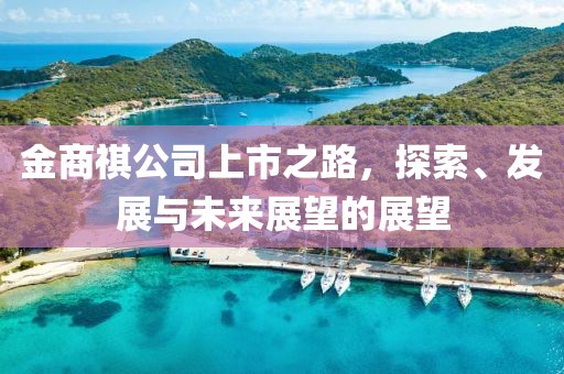 金商祺公司上市之路，探索、发展与未来展望的展望
