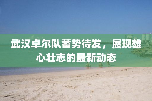 武汉卓尔队蓄势待发，展现雄心壮志的最新动态