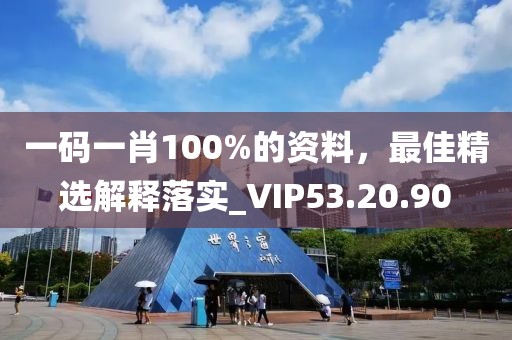 一码一肖100%的资料，最佳精选解释落实_VIP53.20.90