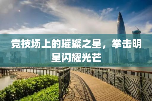 竞技场上的璀璨之星，拳击明星闪耀光芒
