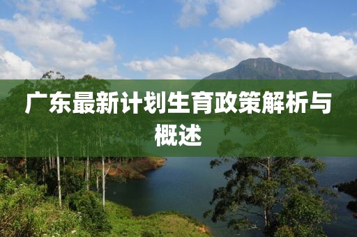 广东最新计划生育政策解析与概述