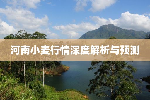 河南小麦行情深度解析与预测