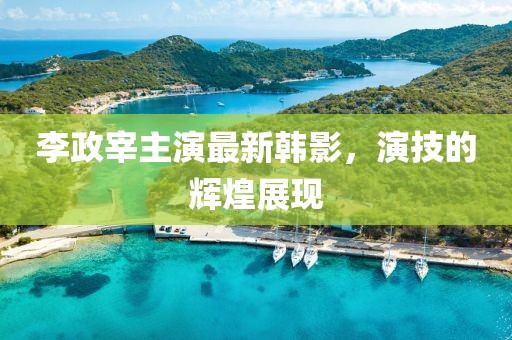 李政宰主演最新韩影，演技的辉煌展现