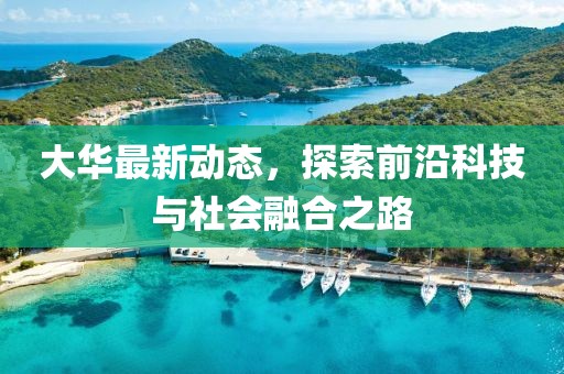 大华最新动态，探索前沿科技与社会融合之路